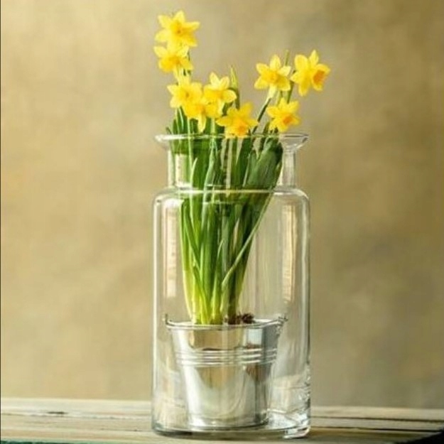 SŁOIK SŁÓJ WAZON DO LAS W SŁOIKU SZKLE 25 cm JAKOŚĆ PREMIUM PRODCUENT EAN (GTIN) 26826858648465