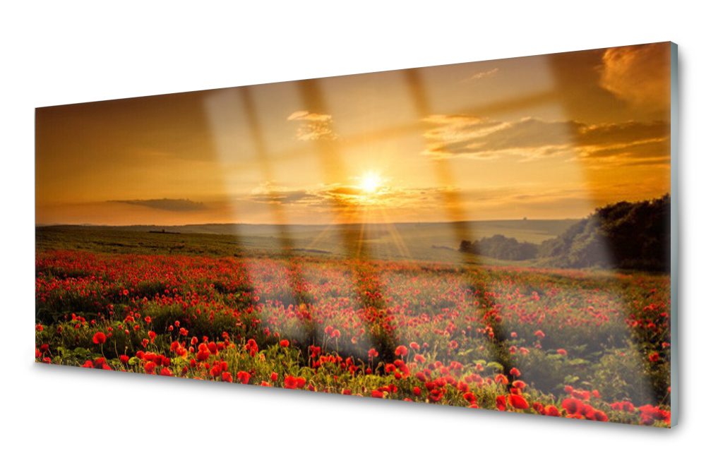 

Panel szklany do kuchni Pole Maki Łąka 125x50