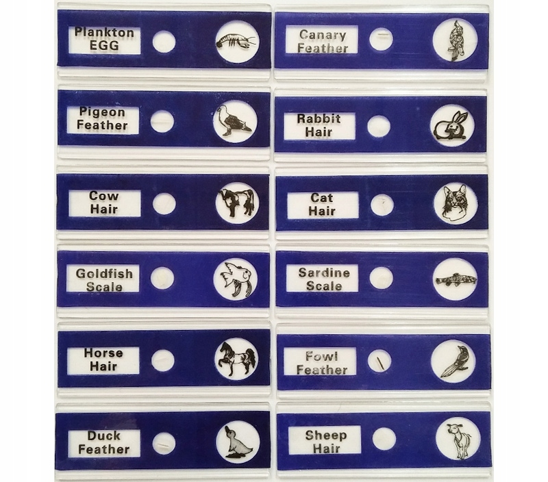 PREPARATY do MIKROSKOPÓW dla dzieci ZESTAW 48 szt. Marka bez marki