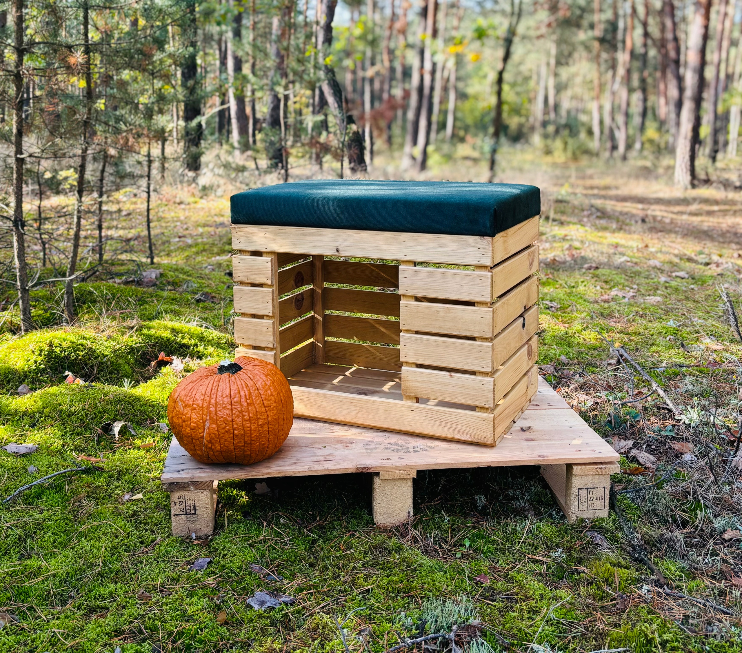 LEGOWISKO DLA KOTA PSA Pufa 90 skrzynia welur skaj Informacje dodatkowe puf otwierany