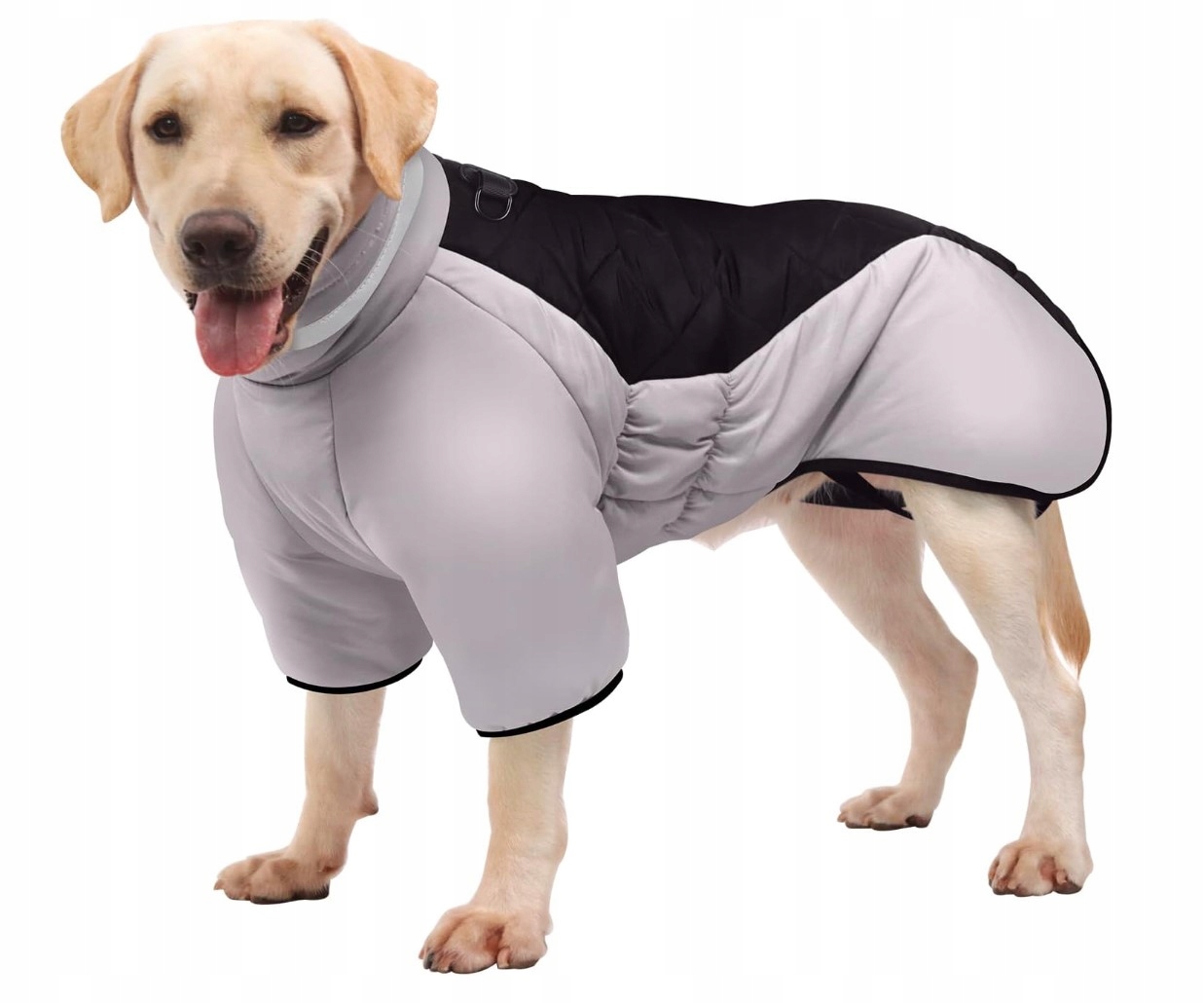 Levně Voděodolná bunda Desoto Dog Winter Coat XXXXL pro vašeho psa
