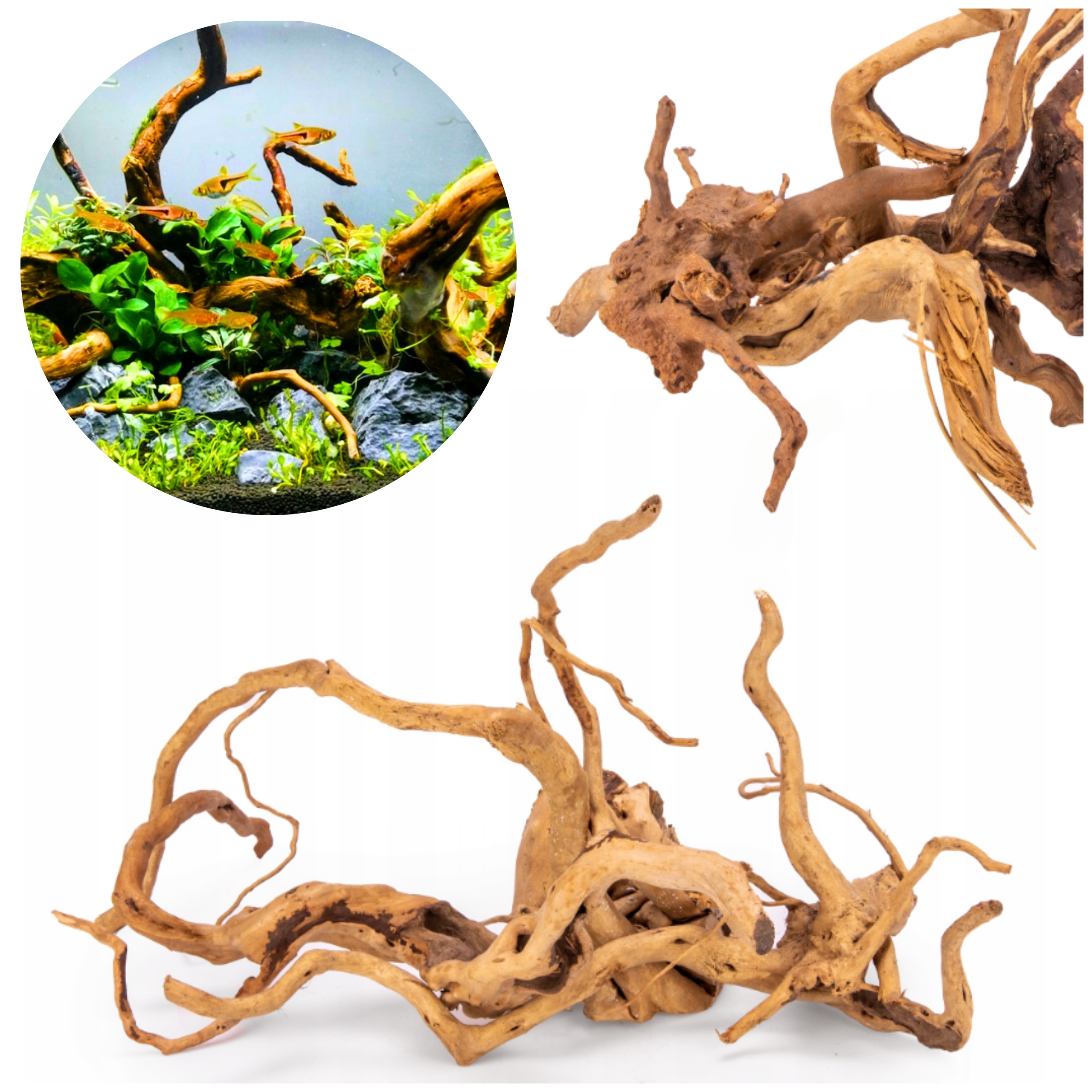 Levně Kořen Red Moor Hotová sada aranžování 70 cm 5-7 ks