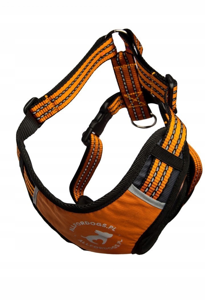 Levně All For Dogs Sportovní postroj oranžový L