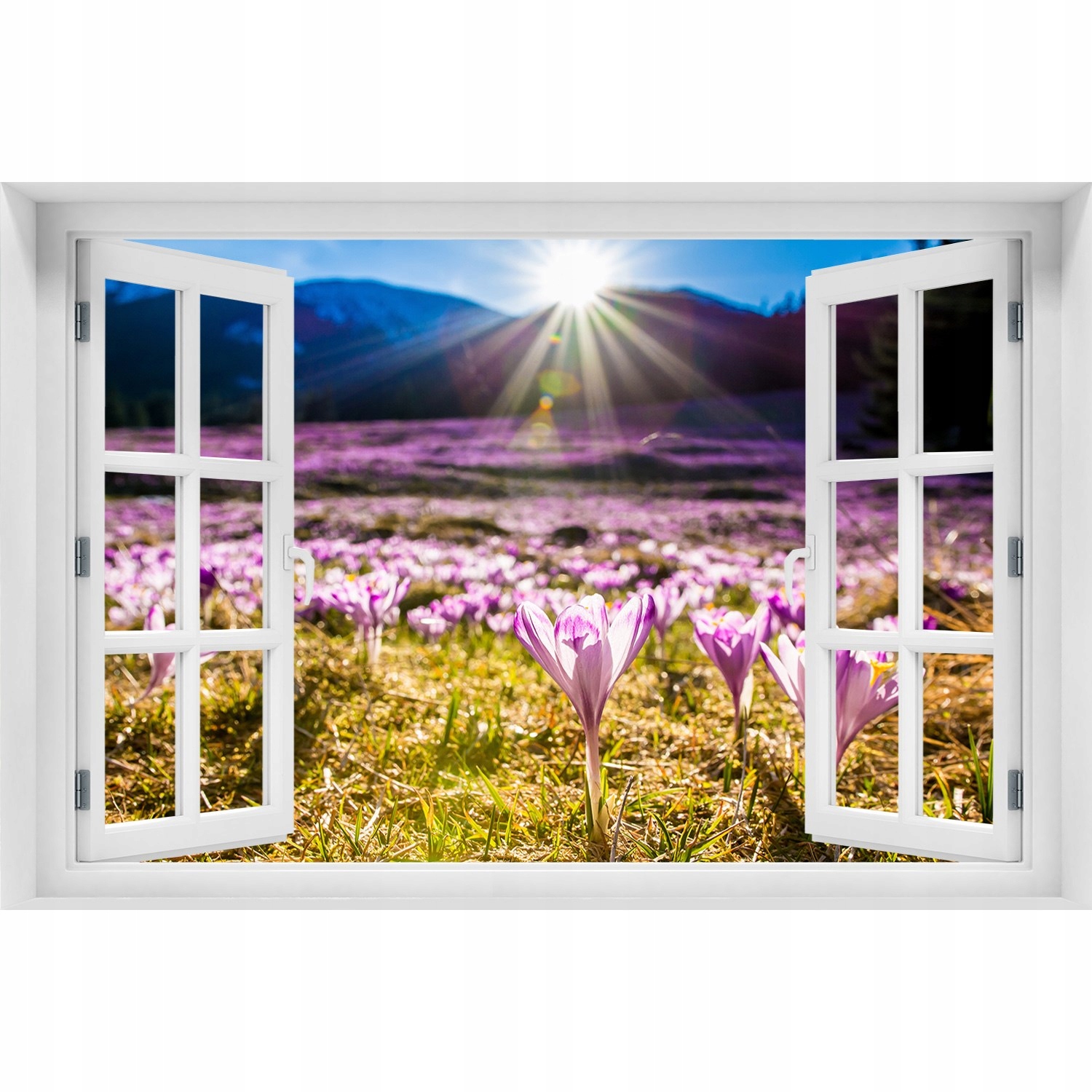 

3D Okno Naklejka na ścianę Krokusy na polanie