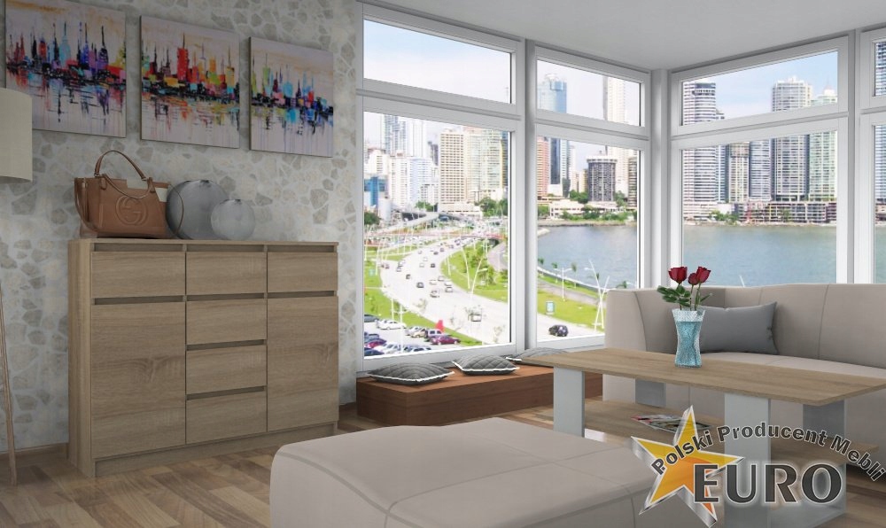 KOMODA 120CM x 100 x 38 SONOMA 6 SZUFLAD 2 SZAFKI Kolekcja PARI