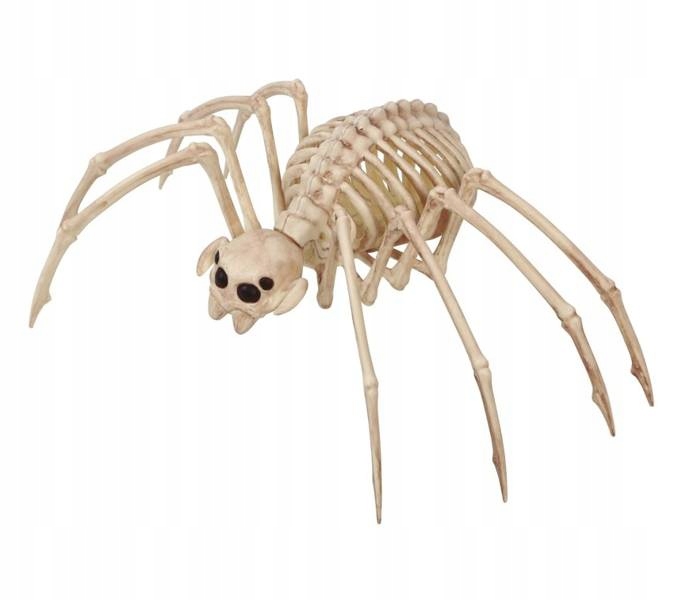 

Dekoracja Szkielet Pająka 35 CM Kości Tarantuli