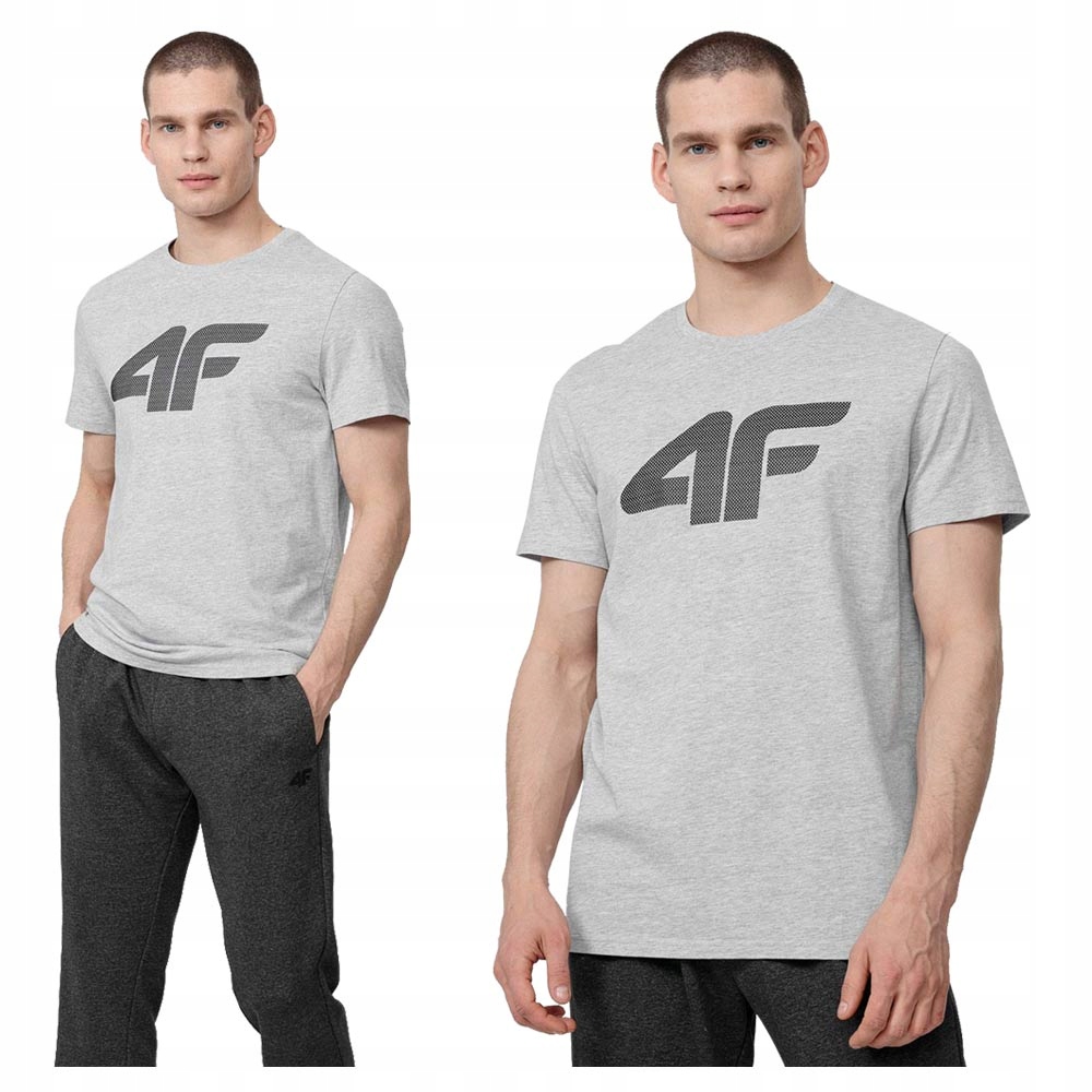 

4F T-shirt Koszulka Męska TSM353 Szara L