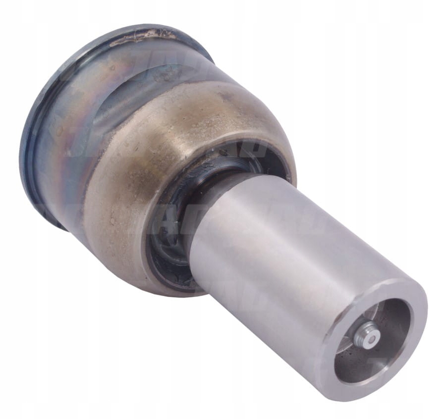 Hlava kosy 311441000