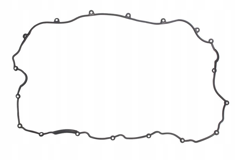 1656305 - ПРОКЛАДКА КРИШКИ КЛАПАНА DAF XF105 CF85