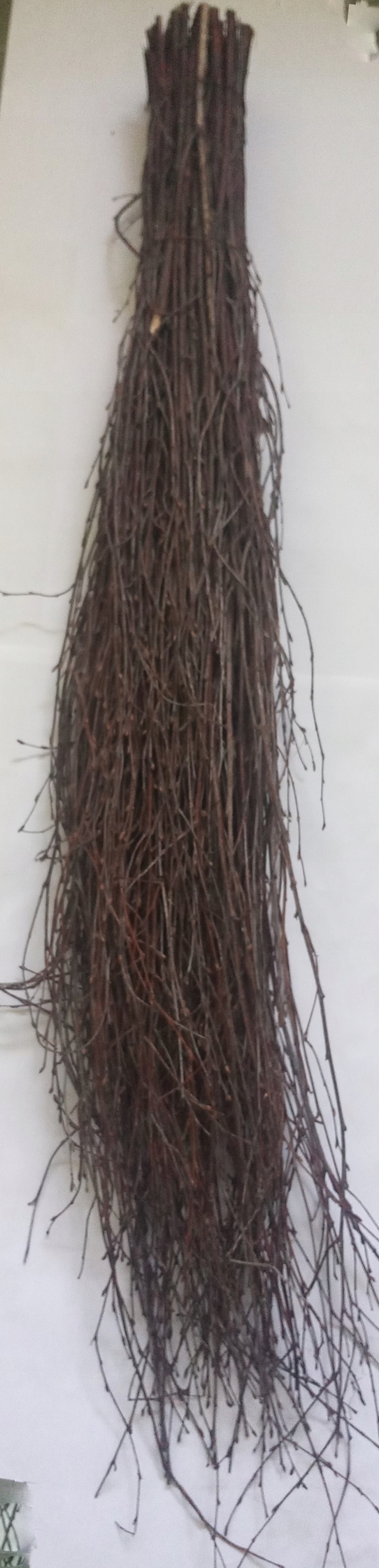

Miotła brzozowa 100 cm