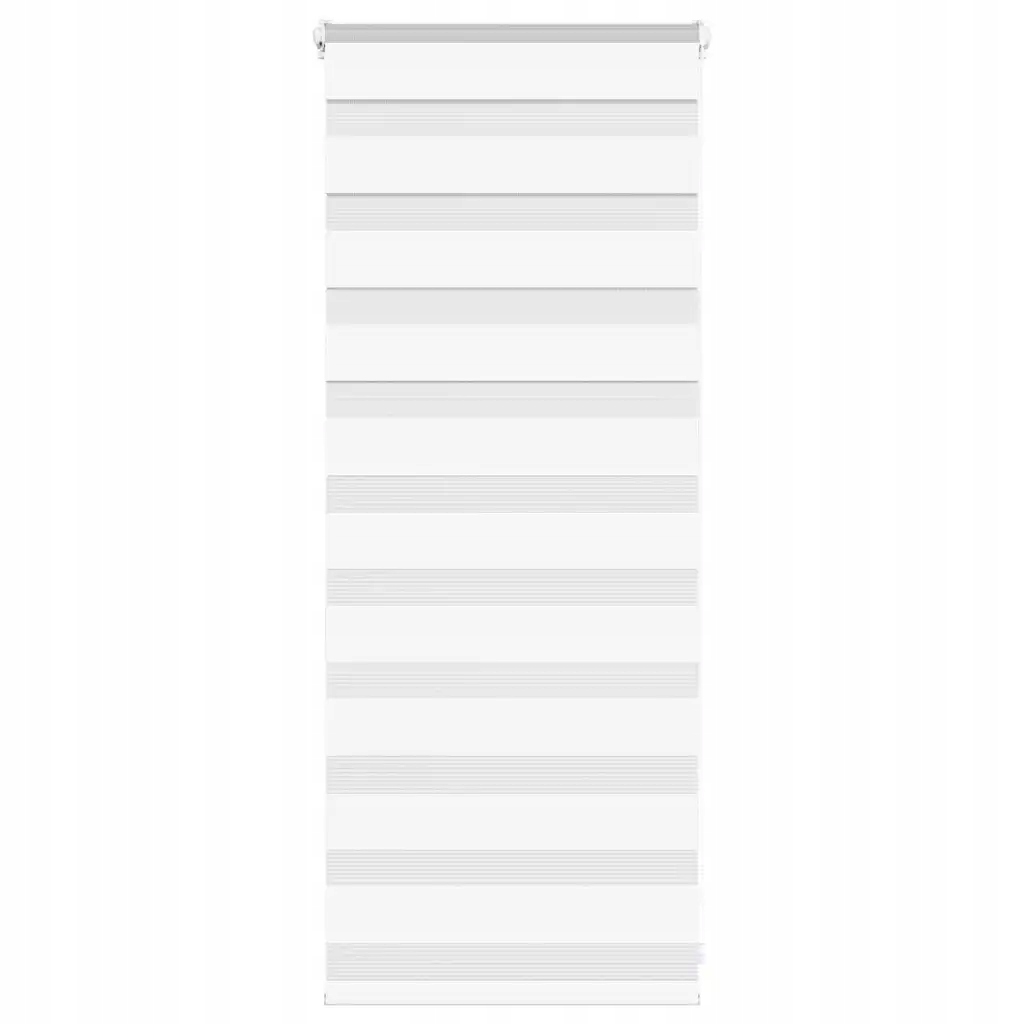 Zebra roleta bílá 55x100 cm šířka látky 50,9 cm polyester Bílá 4014720