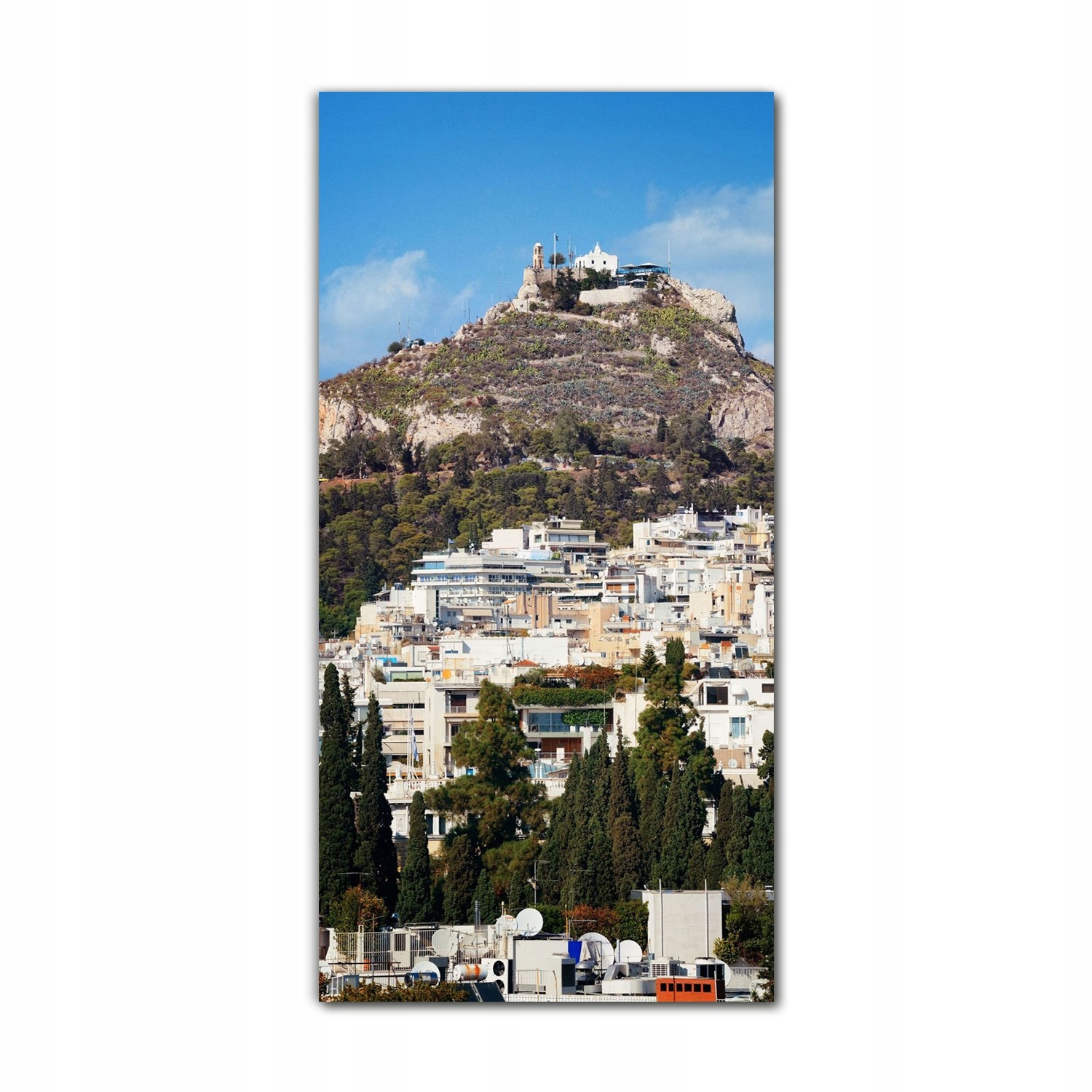 

Foto szklane do kuchni 70x140 Natura Ateny drzewa