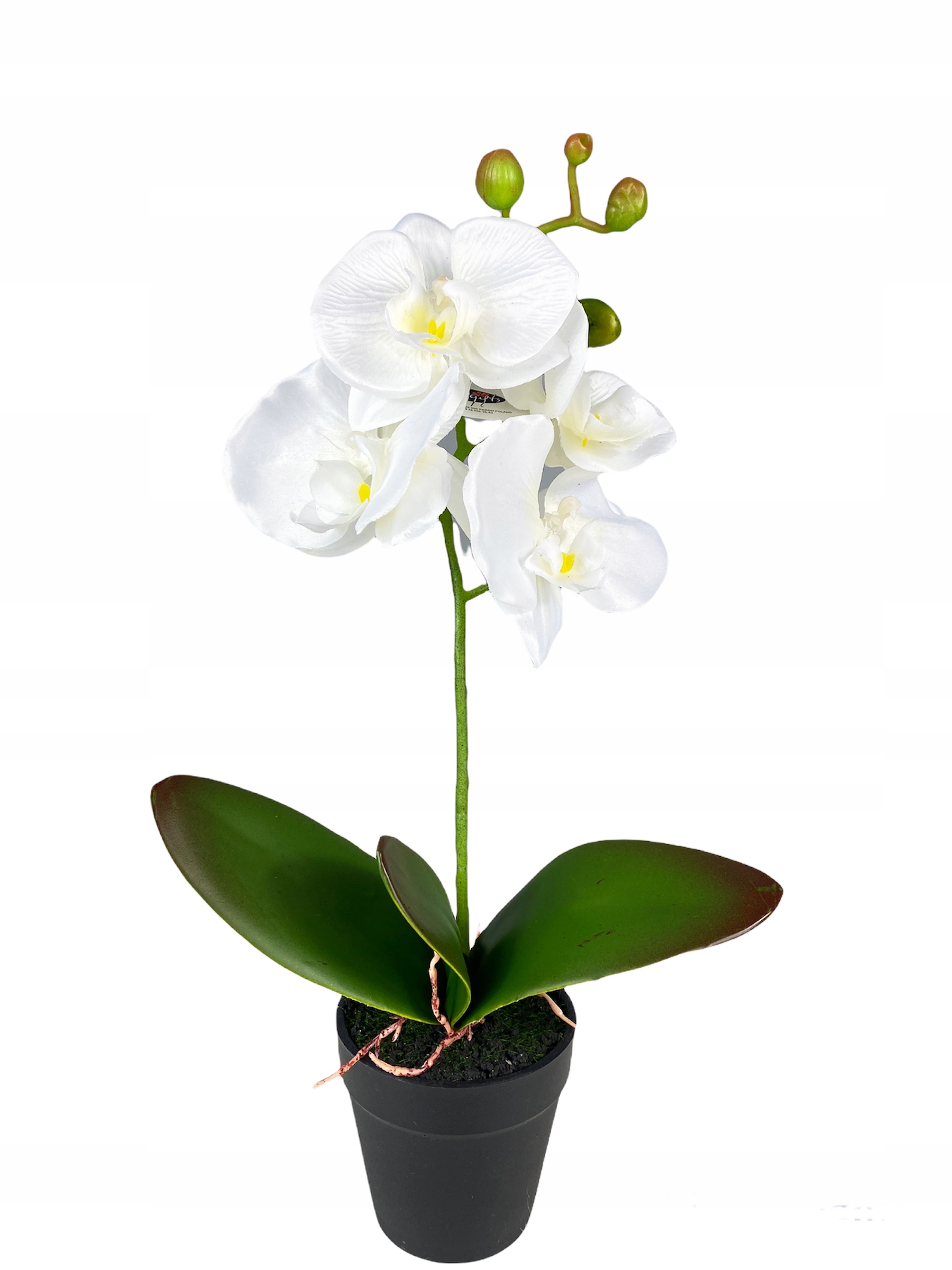 

Storczyk W Doniczce biały Orchidea kwiaty sztuczne