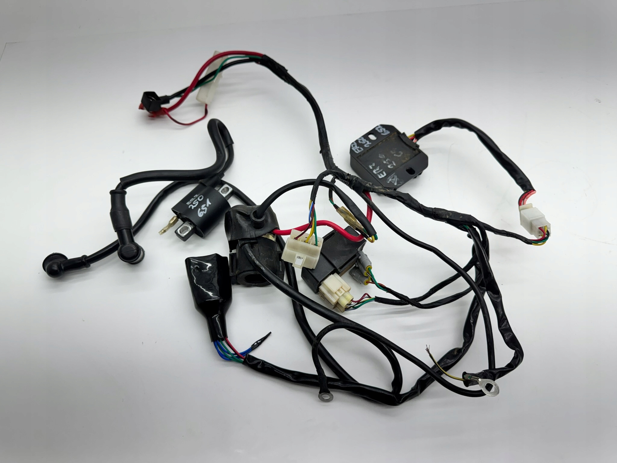 WIĄZKA ELEKTRYCZNA INSTALACJA MODUŁ ERZ 250 2024