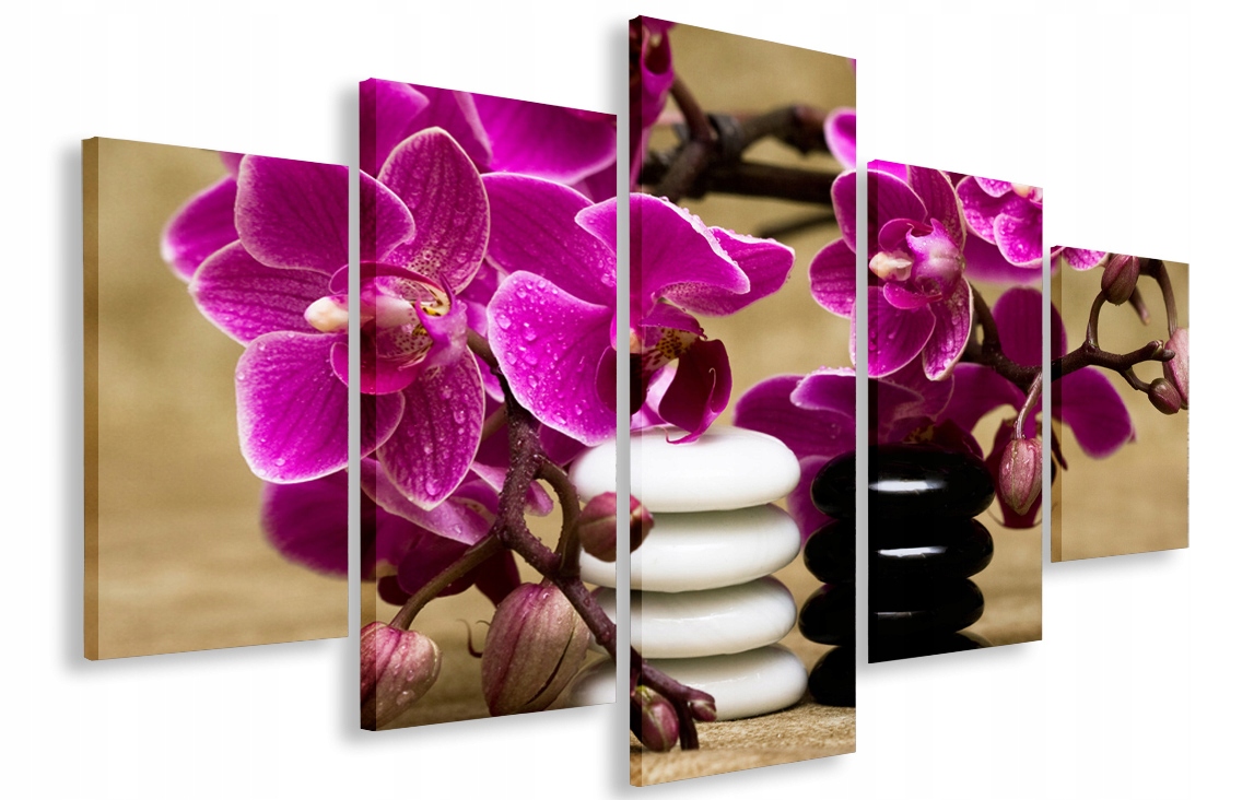 Obraz Do Obývacího Pokoje Orchideje Kamyki 200x120 Obří