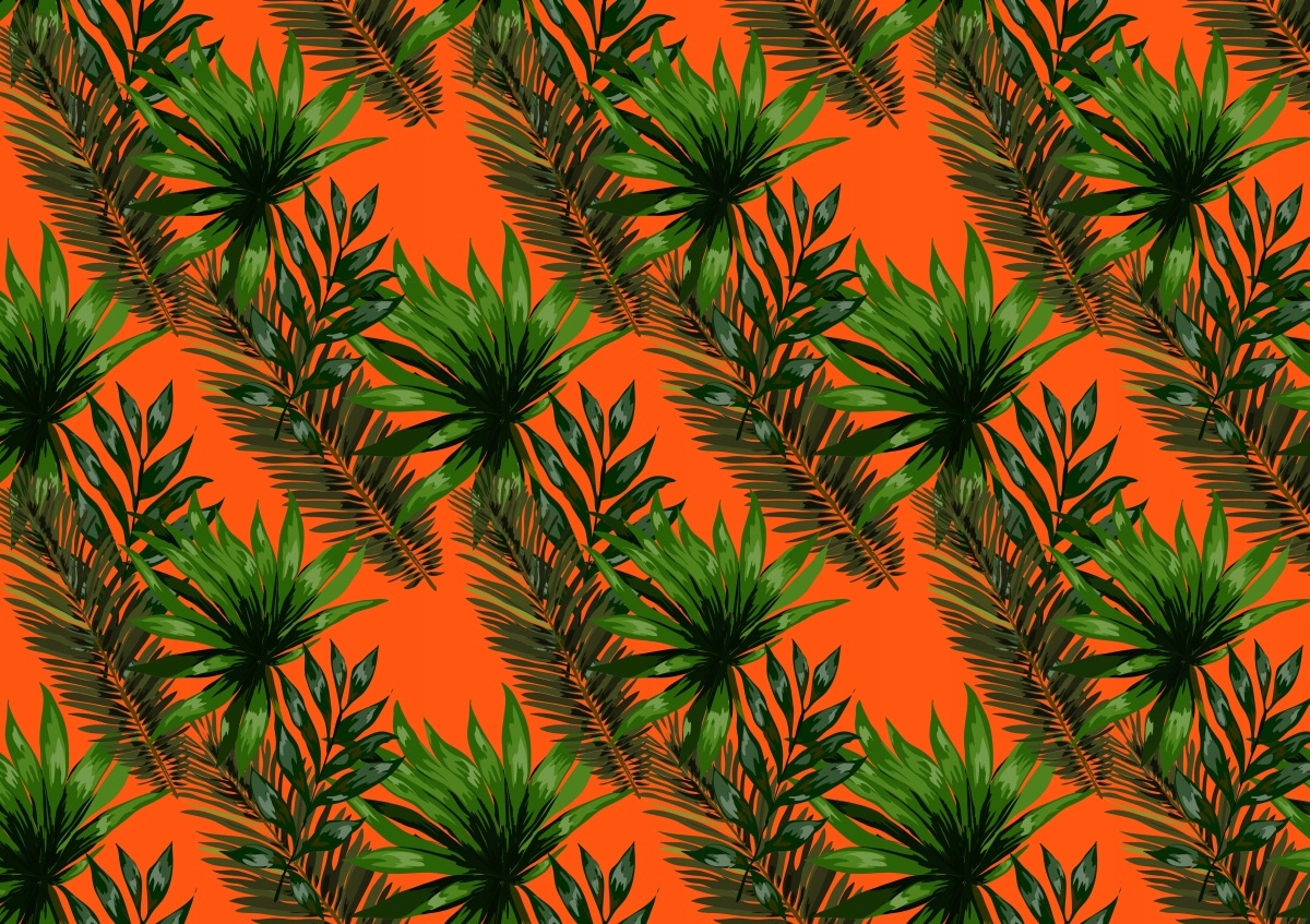 

Fototapeta Flizelinowa Tropikalne liście 208x146