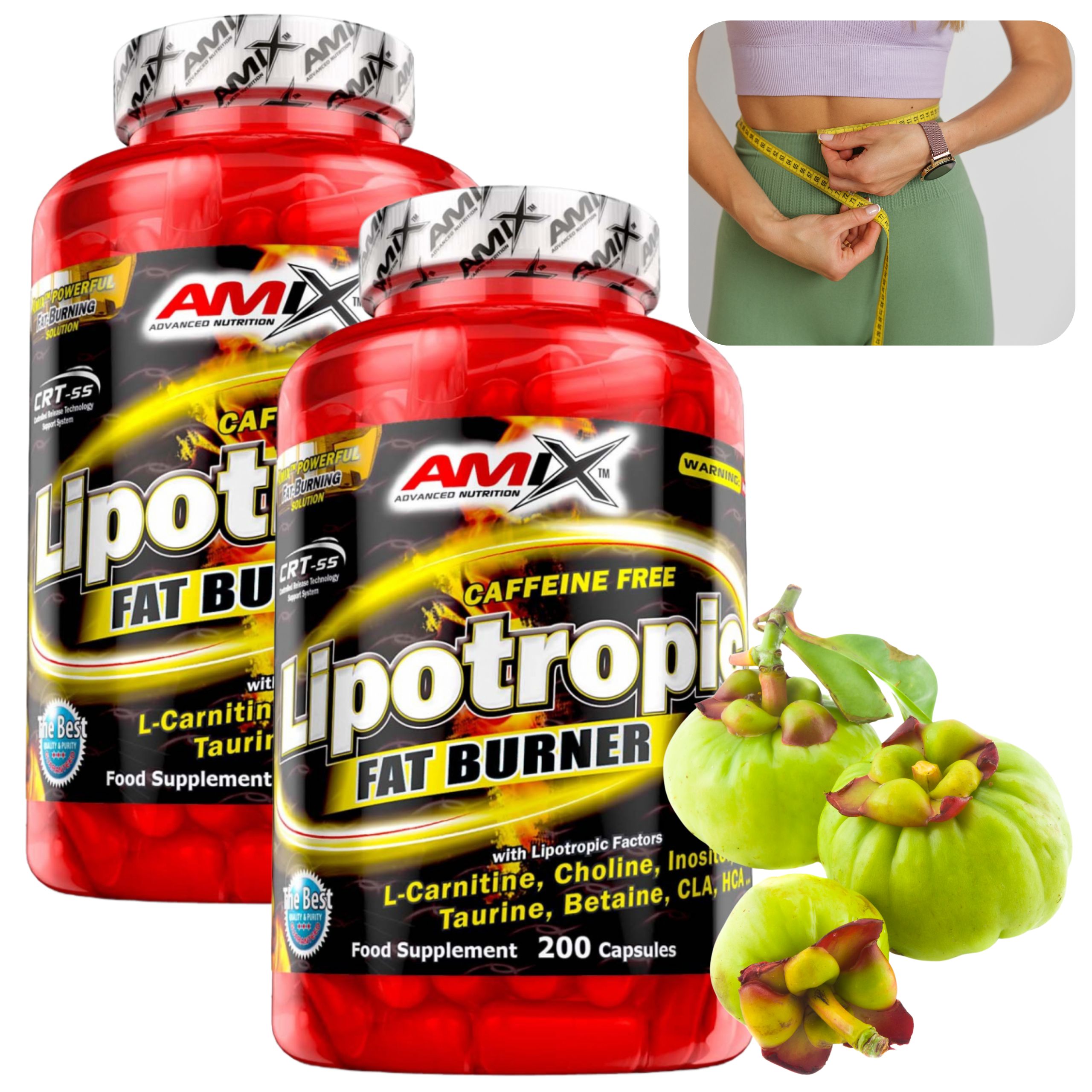 Spalovač Tuků Lipotropní Hca Garcinia Cambogia Cla Cholina Inositol