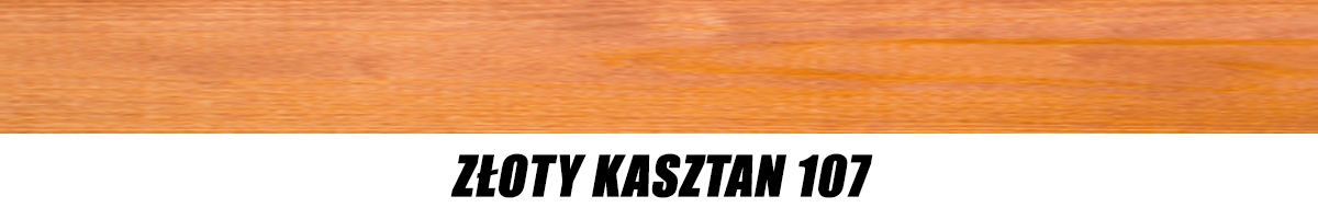 OLEJ KOOPMANS HOUTOLIE ZŁOTY KASZTAN 107 5L EAN (GTIN) 4125414142255