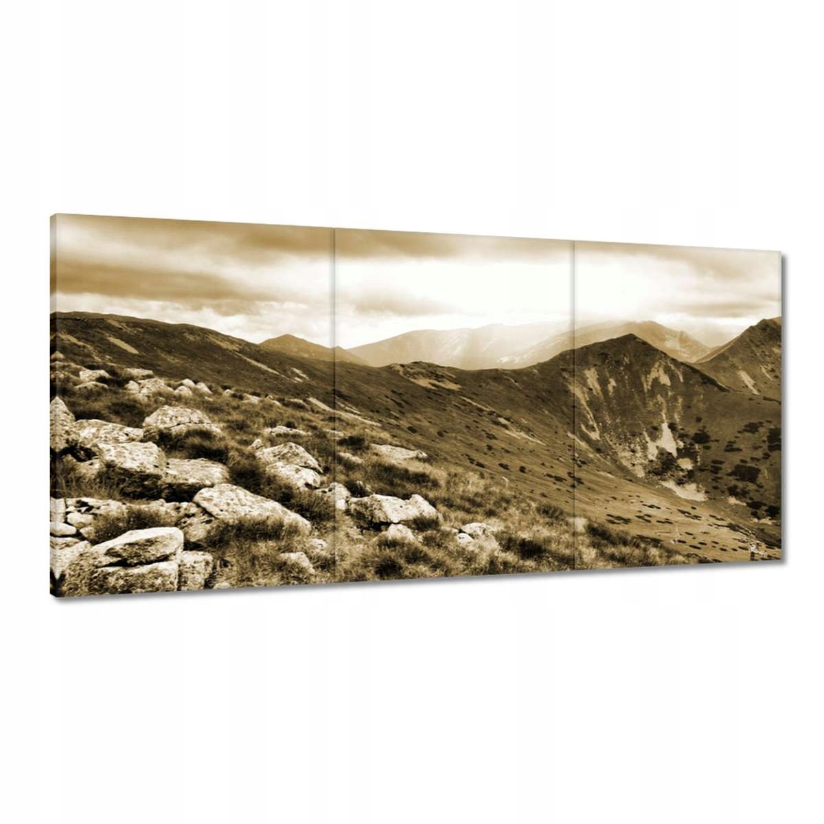 Obrazy 120x60 Tatry Polské hory Pohled