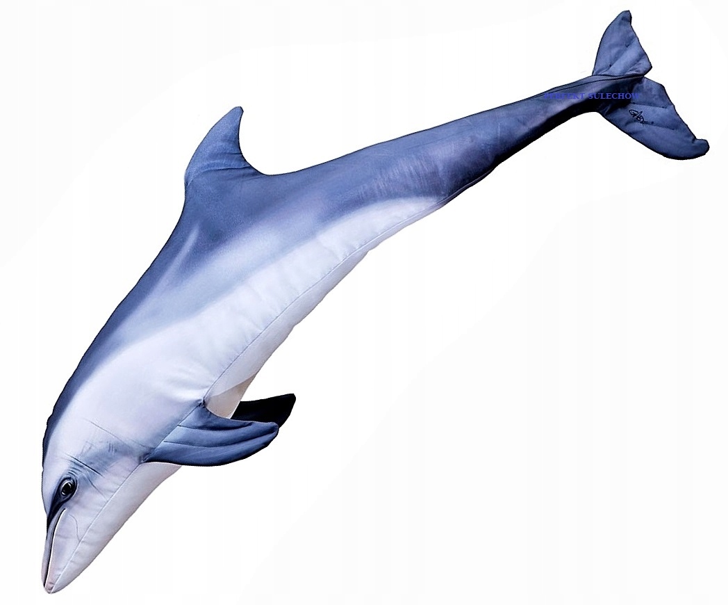 

Poduszka Maskotka Delfin Butlonosy 125 cm