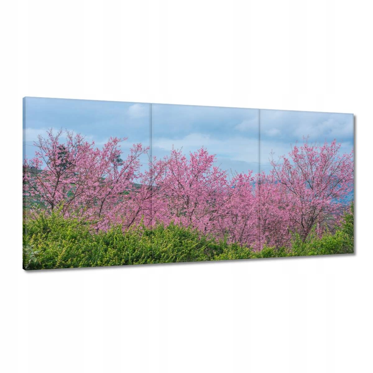 Obrazy 180x90 Kvitnúca čerešňa