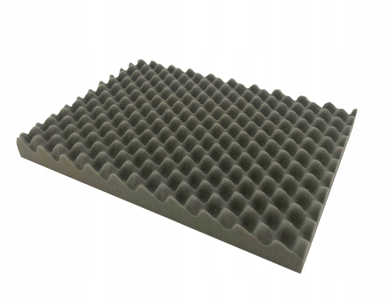 

Wypełnienie do walizki 610x410 mm