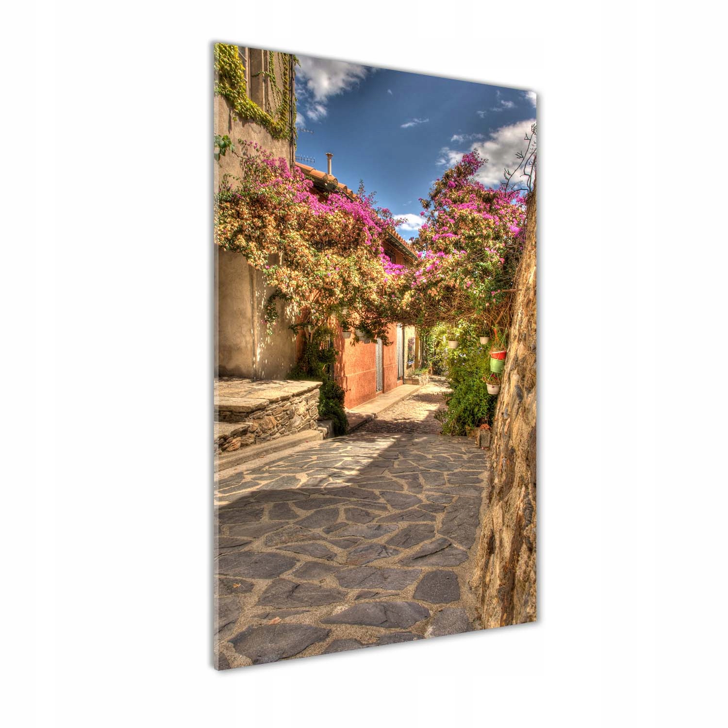 

Foto obraz na szkle Francuskie uliczki 60x120 cm