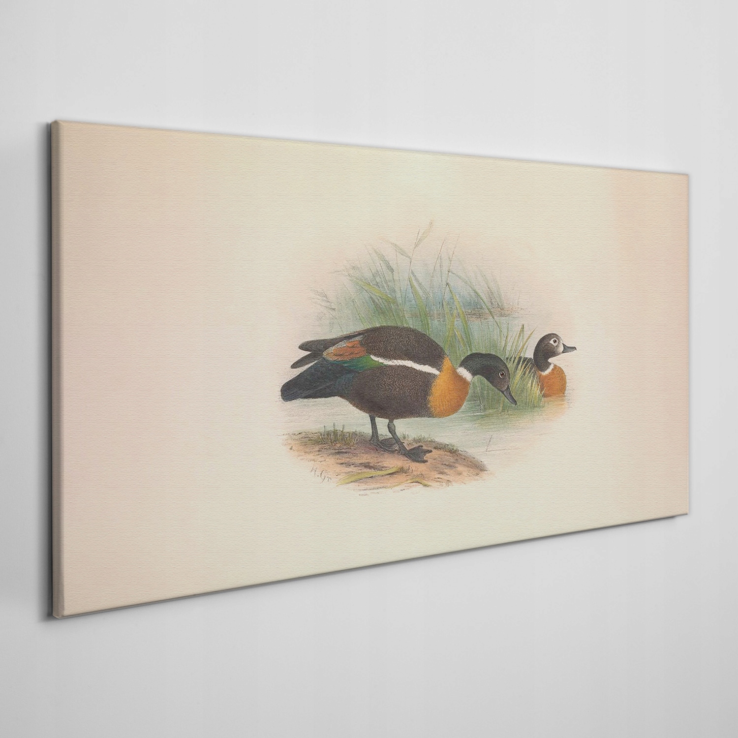 

Obraz na płótnie Ptaki zwierzęta beżowy 140x70 cm