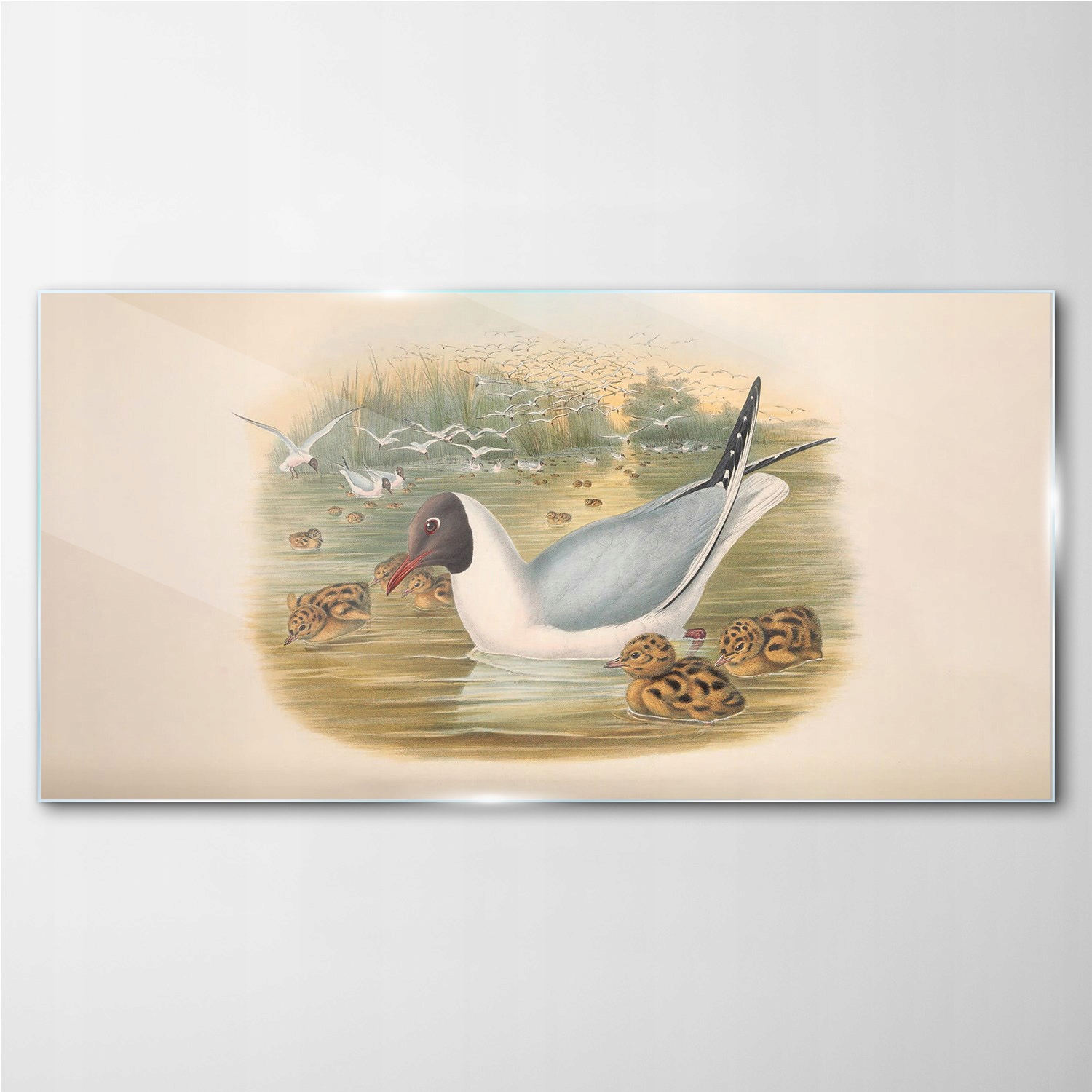 

Szklany obraz na ścianę Ptaki zwierzęta 140x70 cm