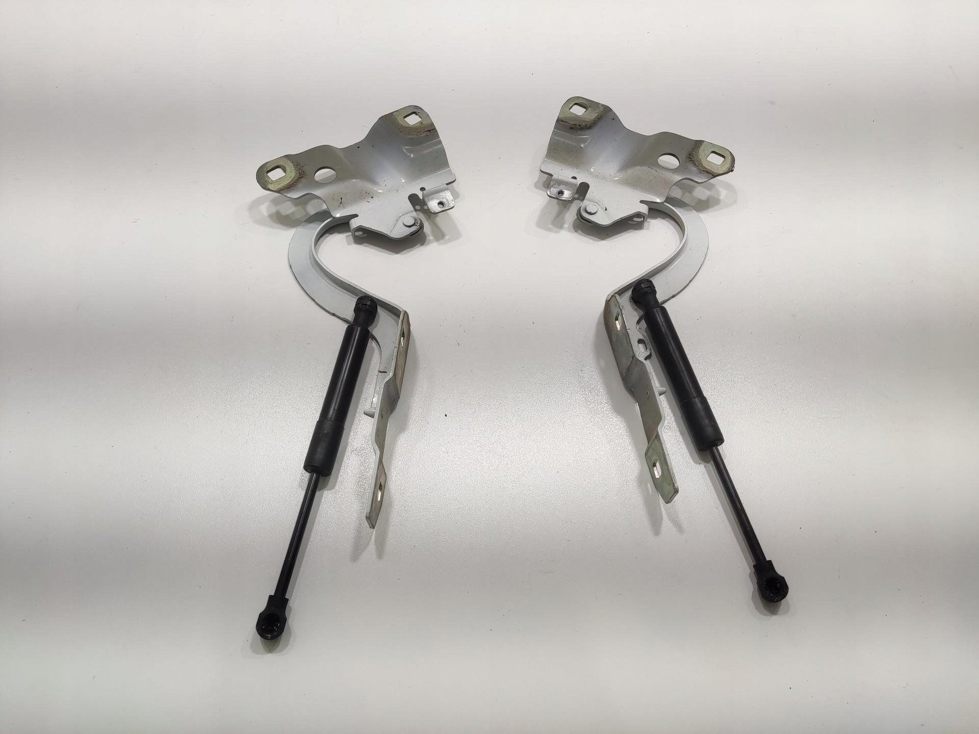 hinge bonnet hinges left right KOMPLET RENAULT ZOE and 2013-2019