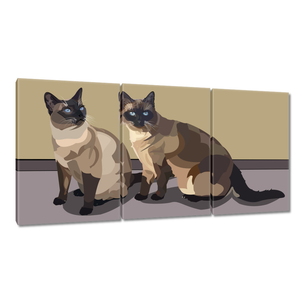 

Obrazy 120x60 Kot Kotek Kotki Koty