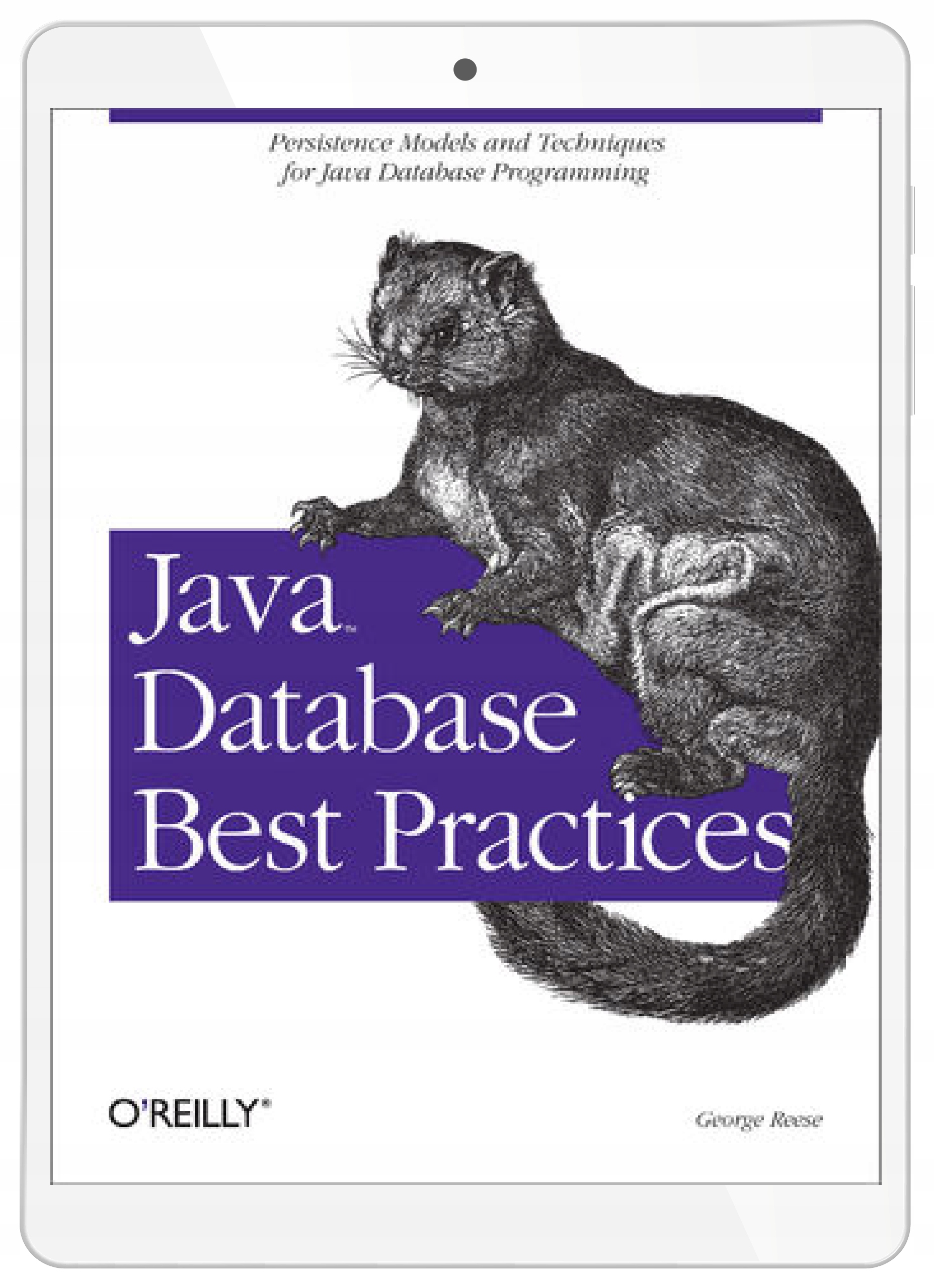 Java Database Best Practices. Persistence Models
