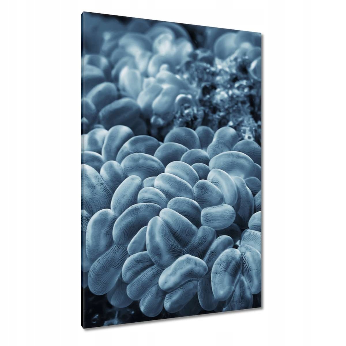 Obrazy 80x120 Podvodní výlet