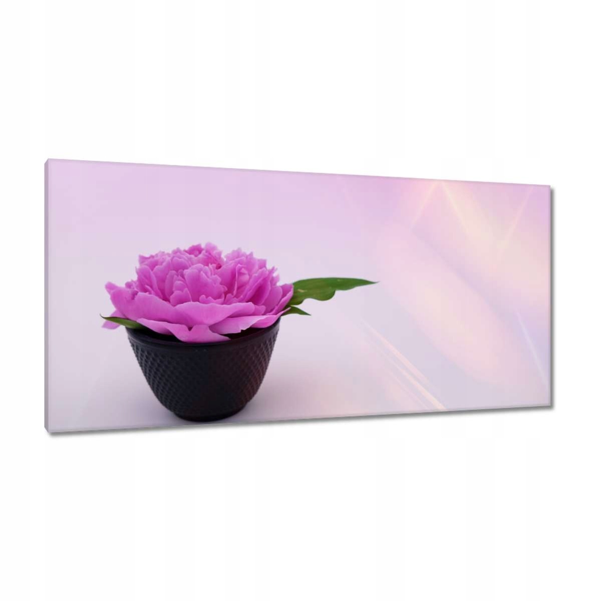 Obrazy 115x55 Spa Wellness Květina