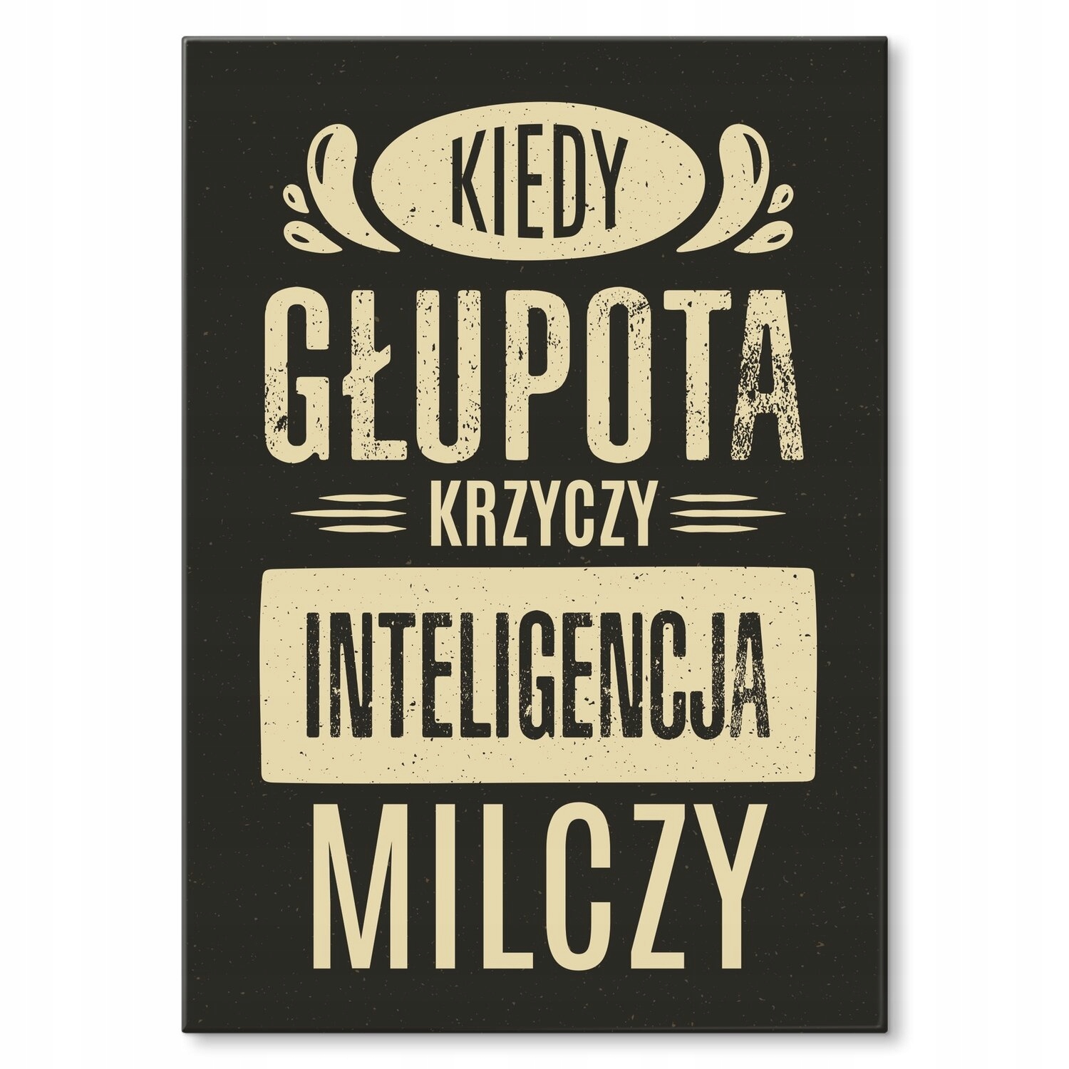 Kovový plakát, když hloupost křičí Dárek 42 x 59 cm