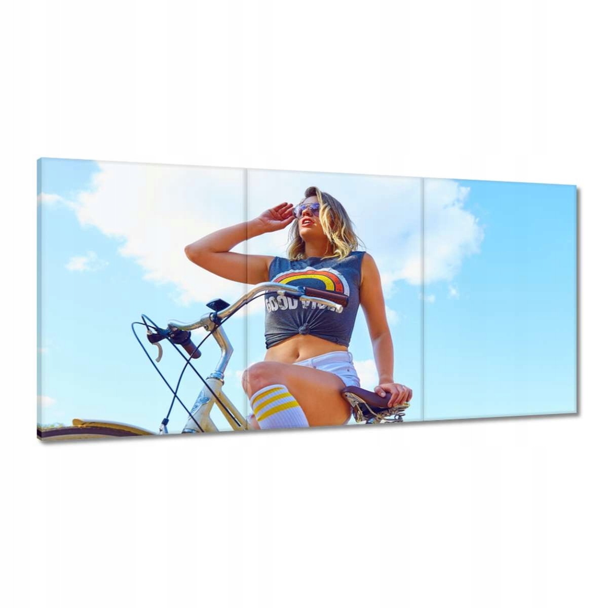 Obrazy 180x90 Kočka na bicykli Bicykel