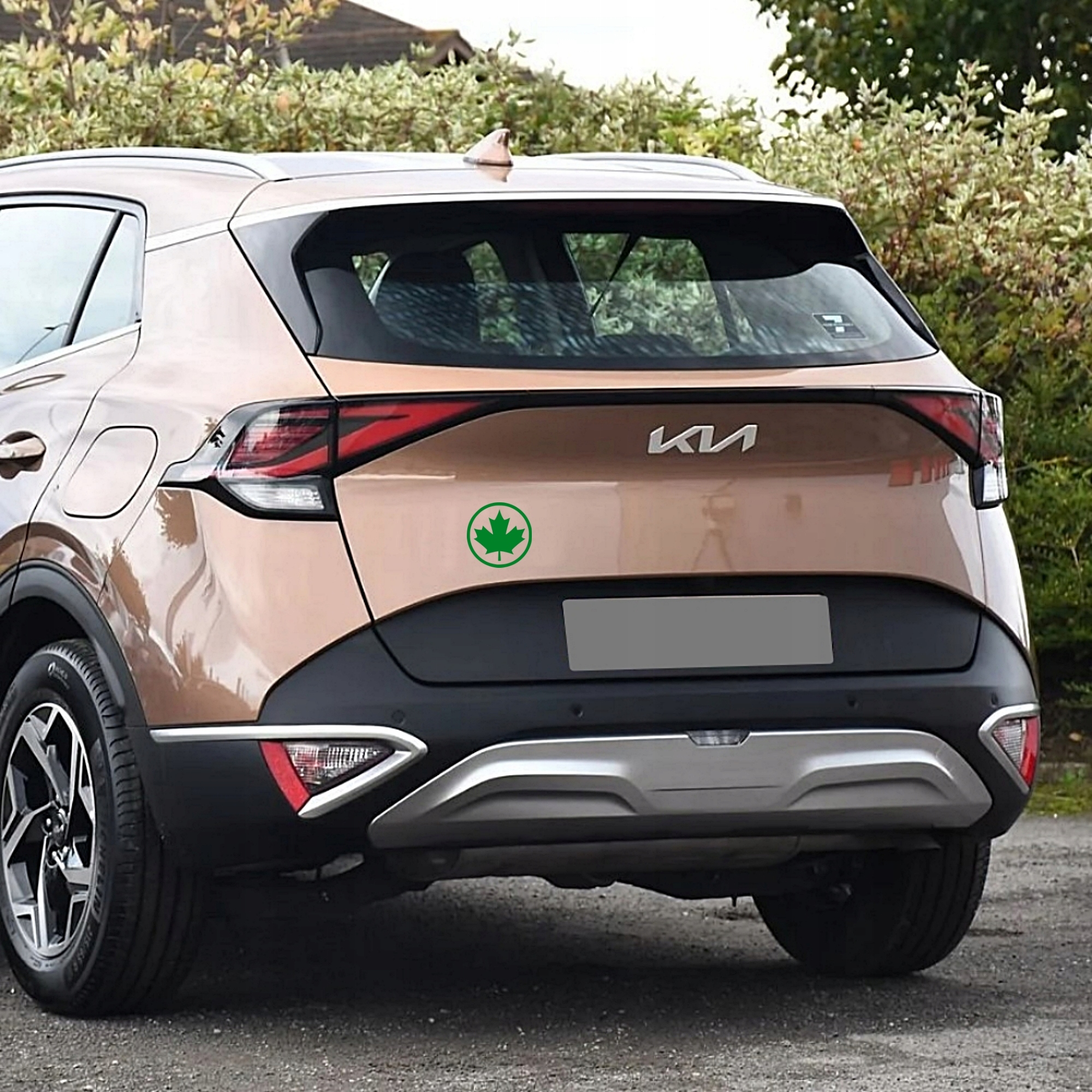 2x Naklejka na samochód Zielony listek liść 11x11 cm Stan opakowania oryginalne