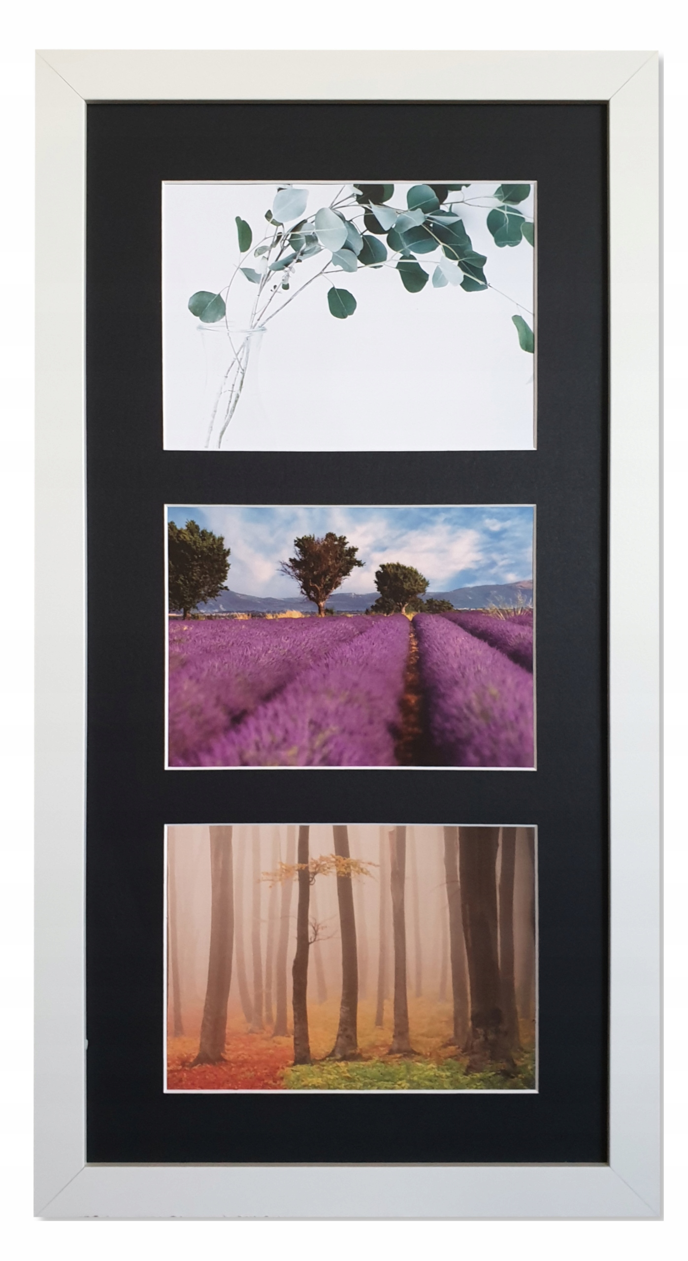 

Galeria 3 zdjęcia 15X23 rama i Passe-partout Ninbk
