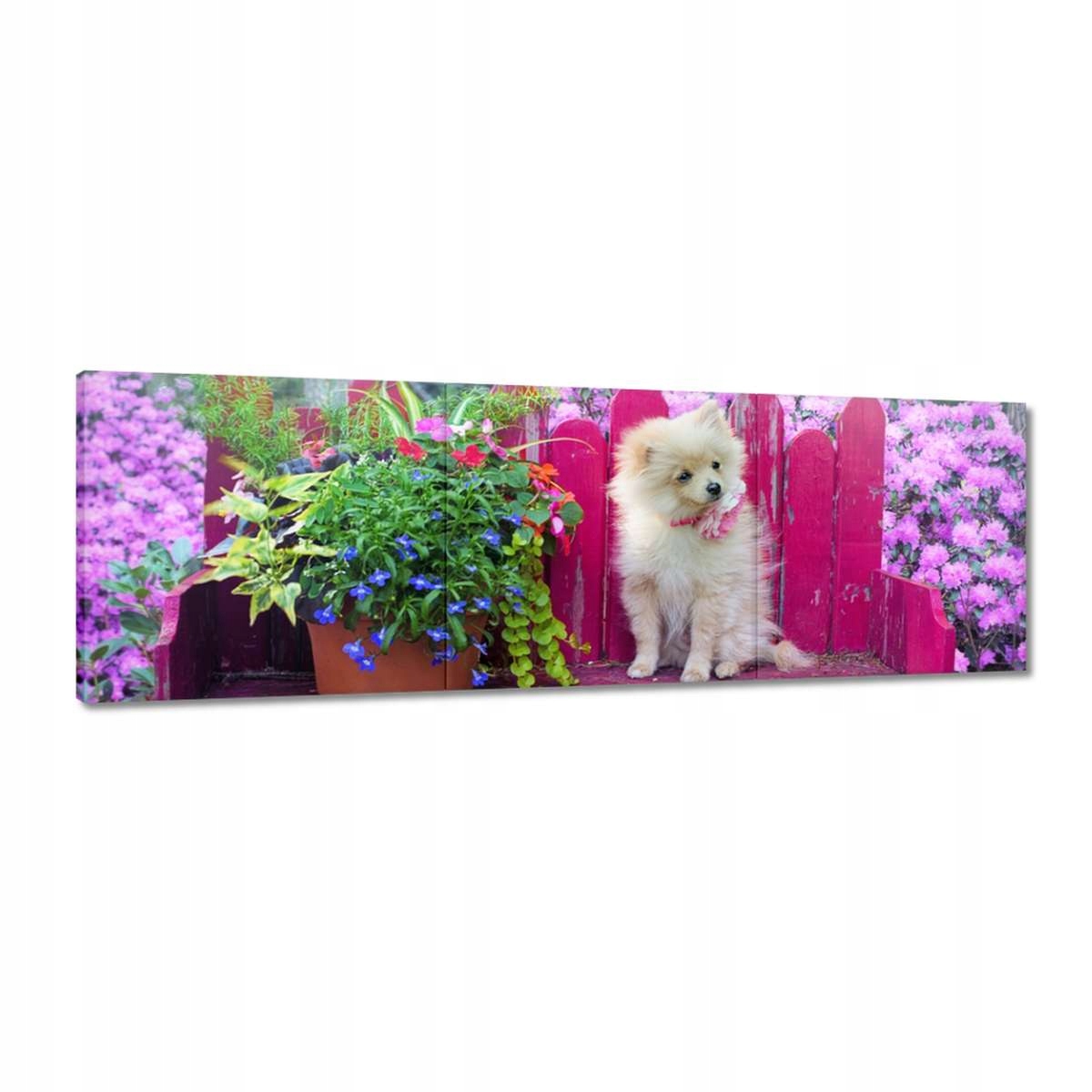 Obrazy 150x50 Pes Pejsek Psi