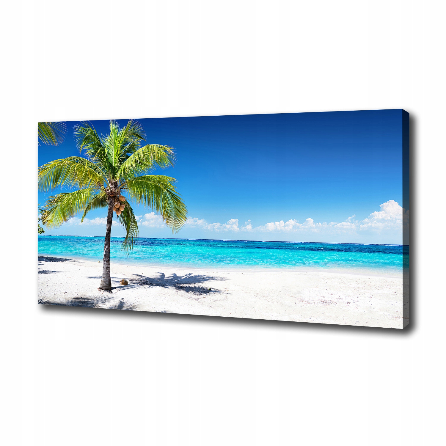 

Foto obraz na płótnie Tropikalna plaża 100x50 cm