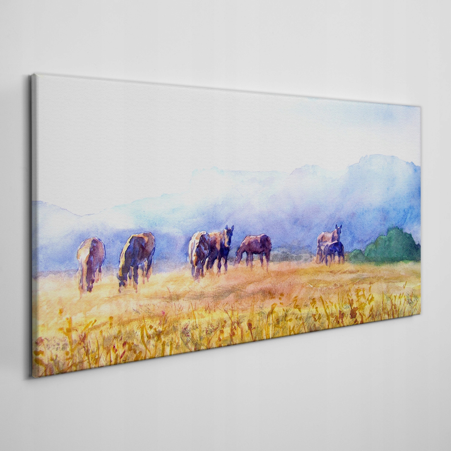 

Płótno obraz na ścianę Konie łąka natura 100x50 cm