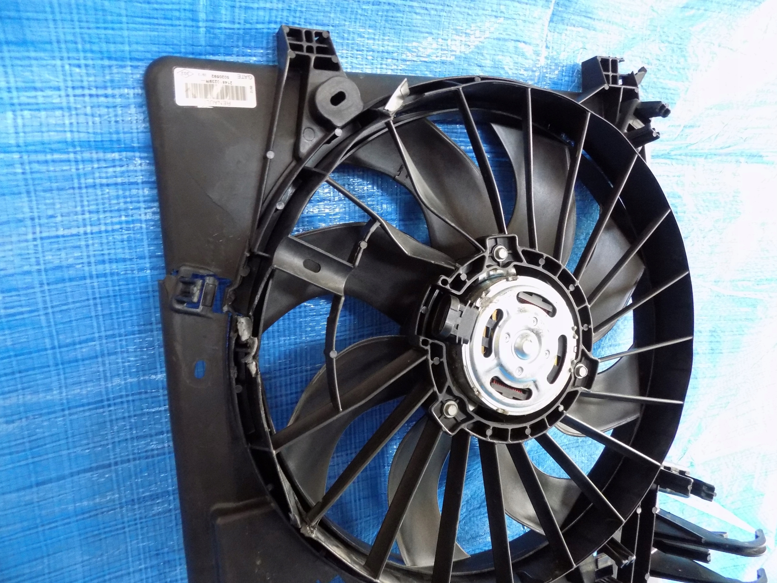 cover fans MASTER III front NAPED