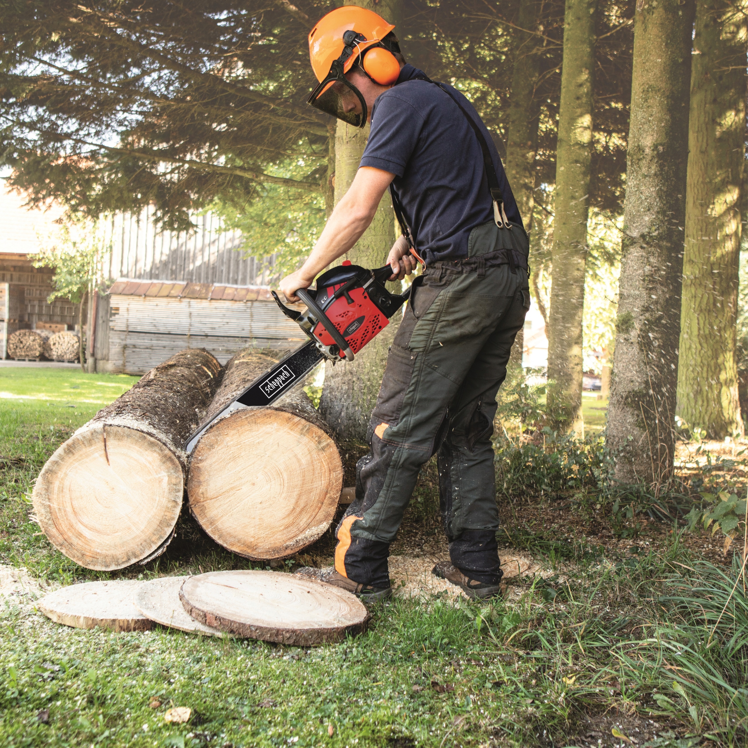 Piła Spalinowa Pilarka Łańcuchowa do drewna gałęzi CSP5300 2000 W Scheppach Europejski standard emisji spalin EURO 5