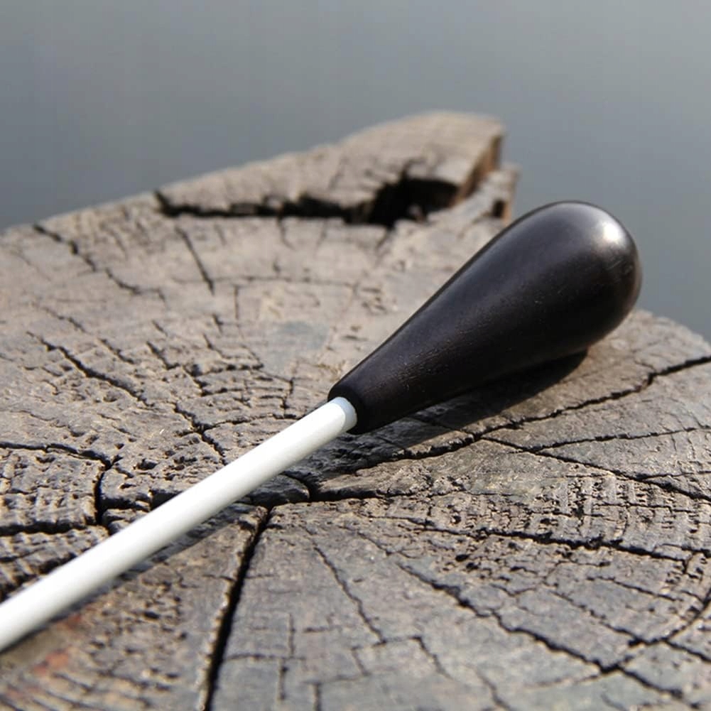 Zespół Muzyczny Musical Ebony Handle Dyrygujący Batutą Na Koncert Marka inna