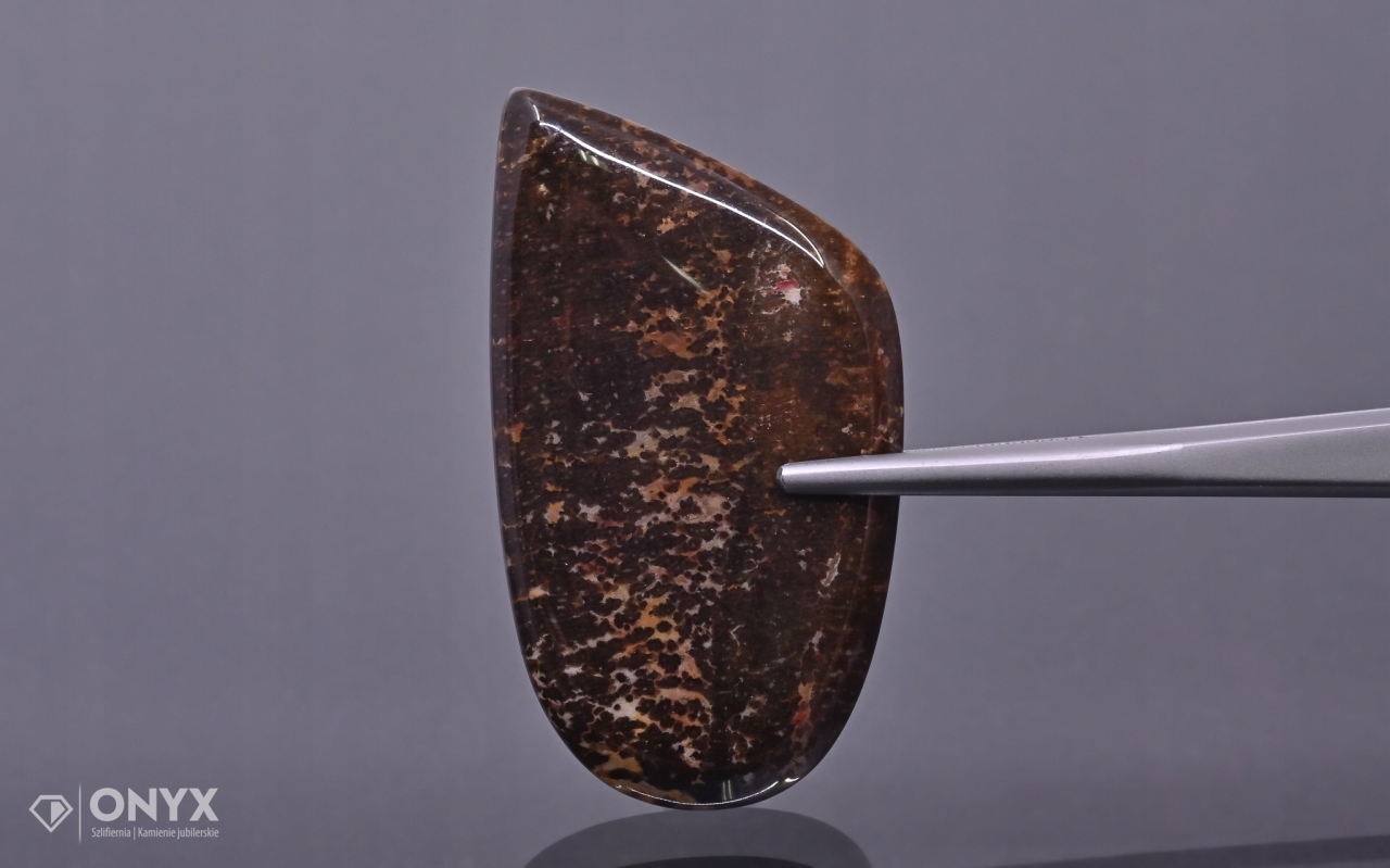 Dřevo fosilní konvexní nepravidelná dlažba 44x24,5 mm