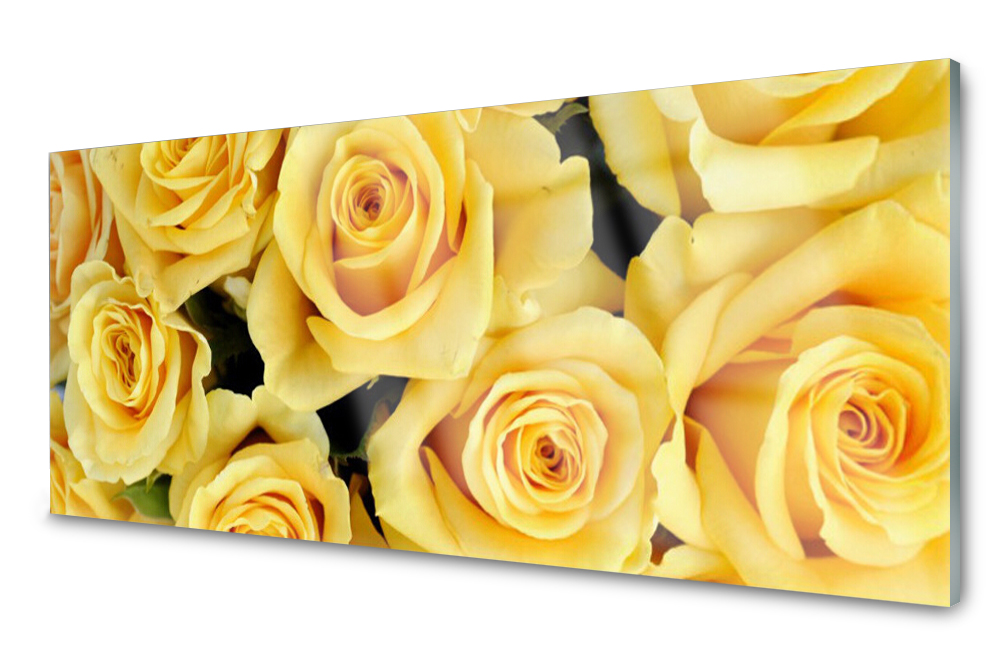 Skleněný panel do kuchyně Růže Květiny Rostlina 125x50