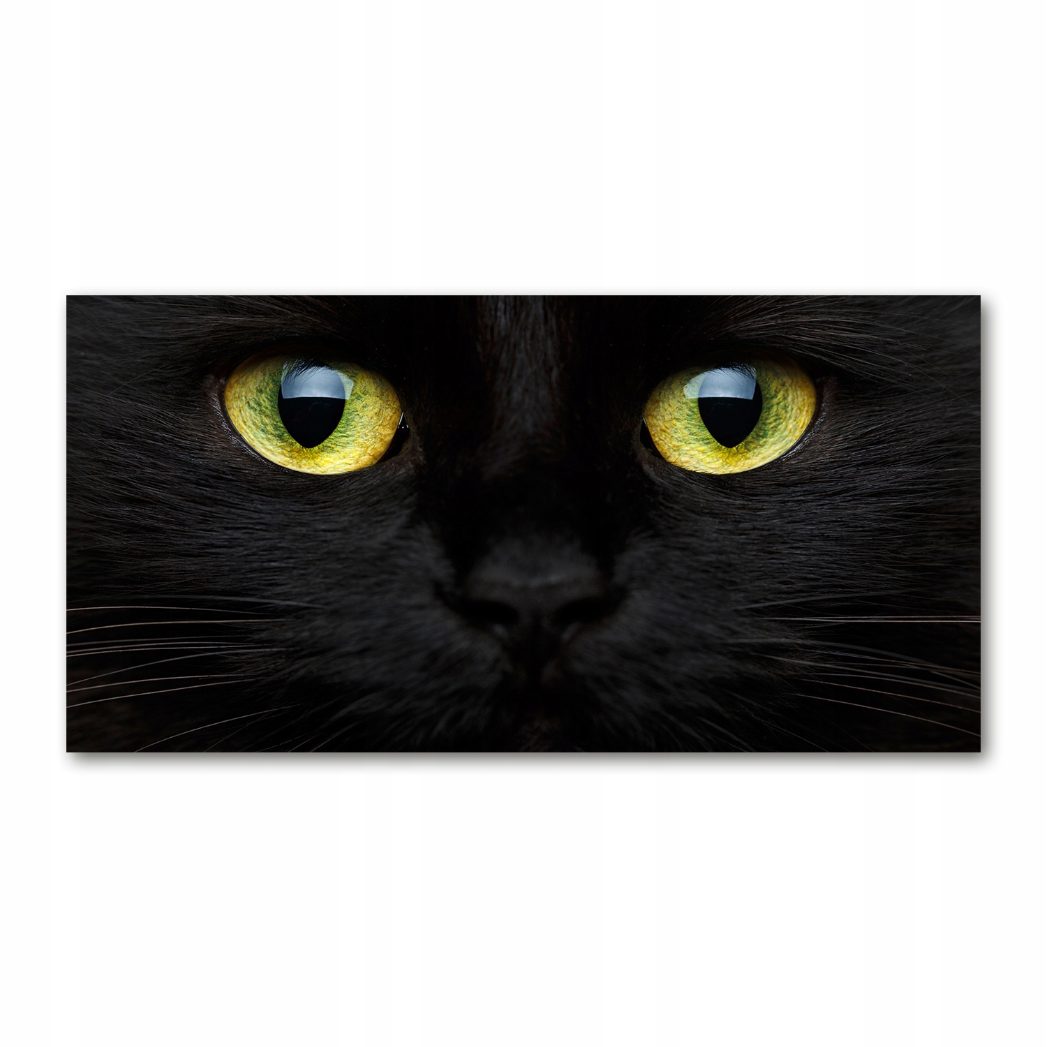 

Foto obraz na szkle akrylowym Kocie oczy 120X60 cm