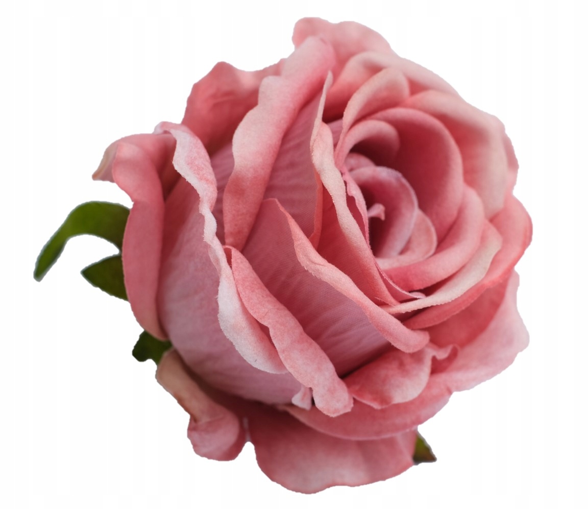 RÓŻA WELUROWA GŁÓWKA WYROBOWA DUŻA XL