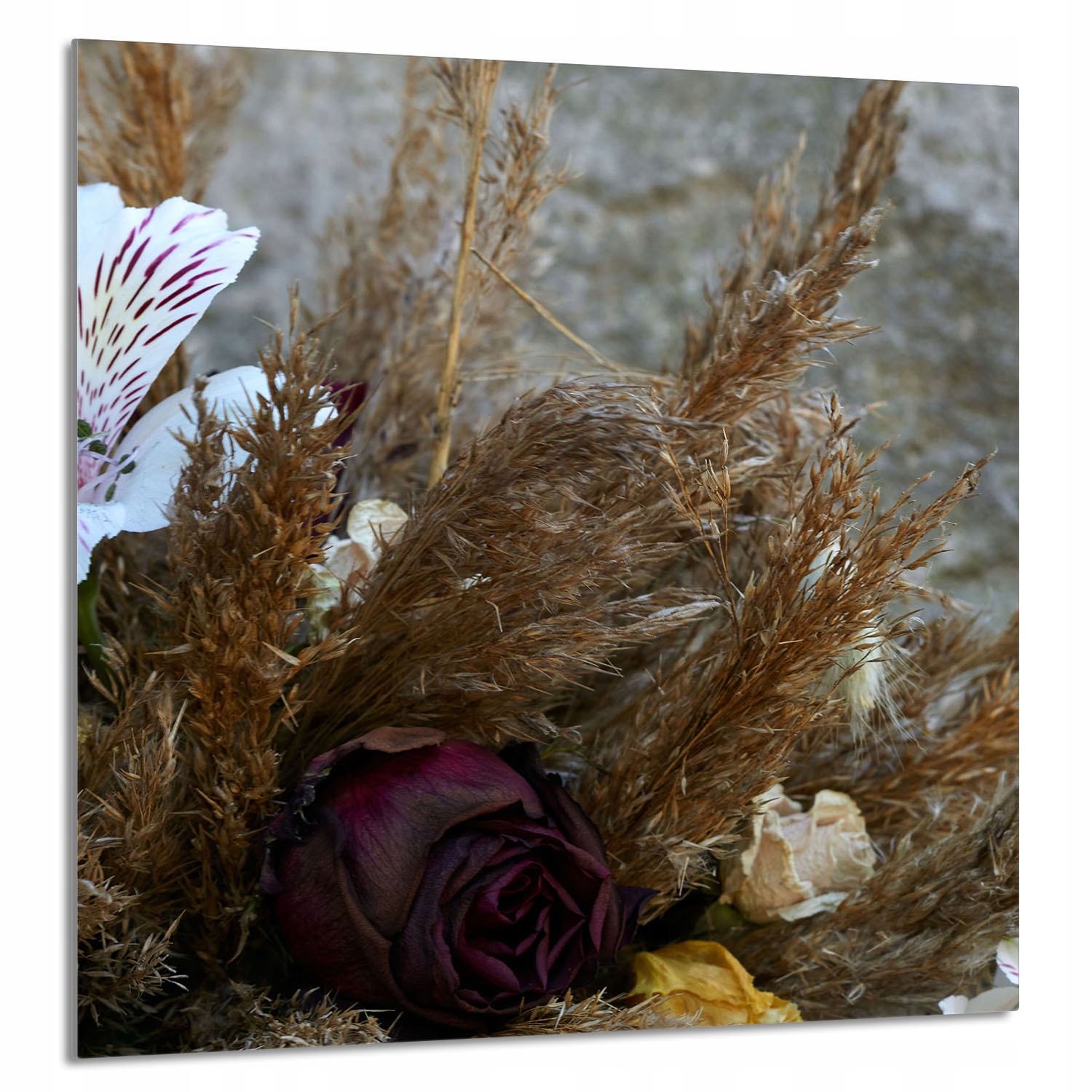 Skleněný Panel Do Kuchyně 60x65 Orchidej Tvrzené Sklo