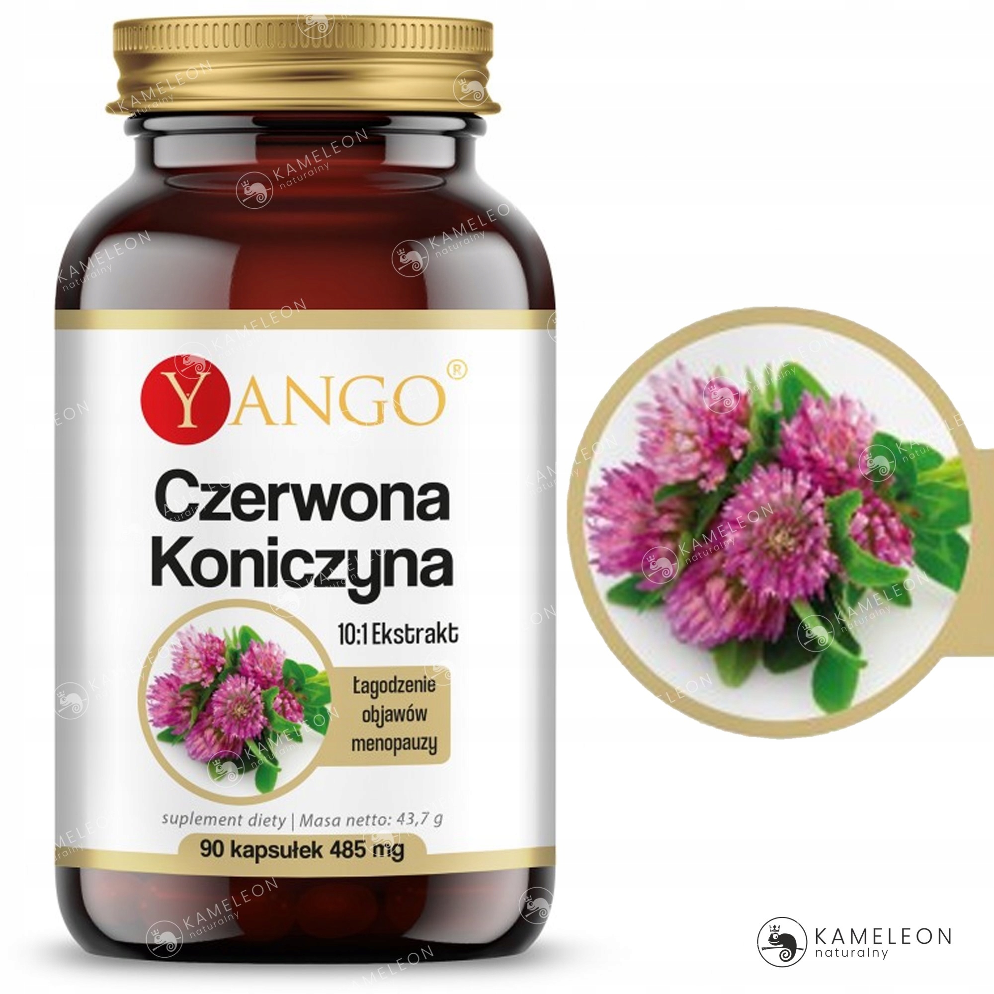 Yango CZERWONA KONICZYNA menopauza+ układ krążenia EAN (GTIN) 5905279845022